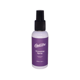 GROOMING FIXADOR CABALLEROS 100ML SPRAY - EFEITO SECO